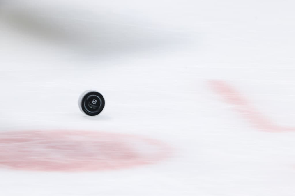 nhl roundup