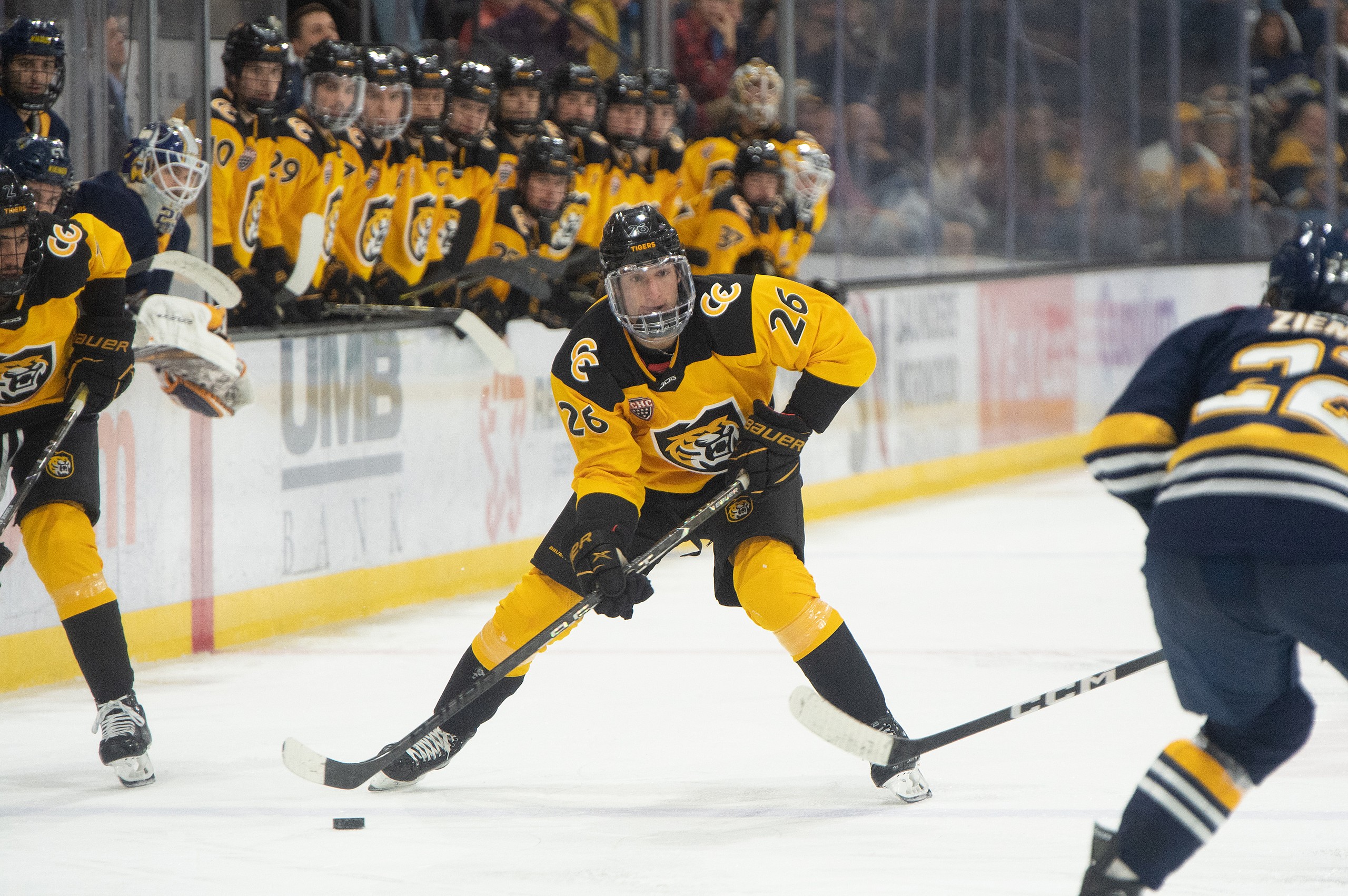 Noah Laba, Colorado College