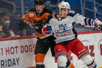 Hartford Wolf Pack