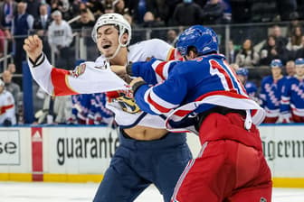 Ryan Strome fight