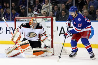 new york rangers