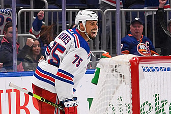 new york rangers ryan reaves