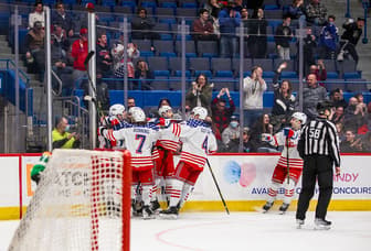 Hartford Wolf Pack