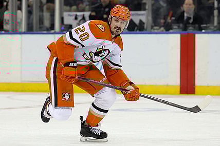 NHL: Anaheim Ducks at New York Rangers