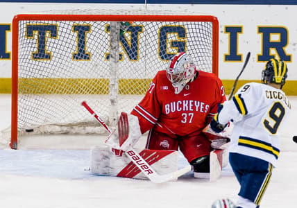 NCAA Hockey: Big Ten Hockey Tournament-Michigan vs Ohio State