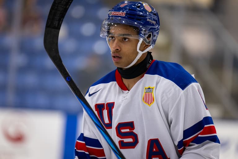 USA Hockey player in blue helmet holding hockey stick during game
