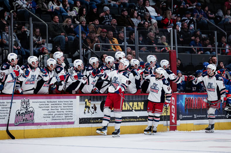 Hartford Wolf Pack players celebrate on the bench during a game