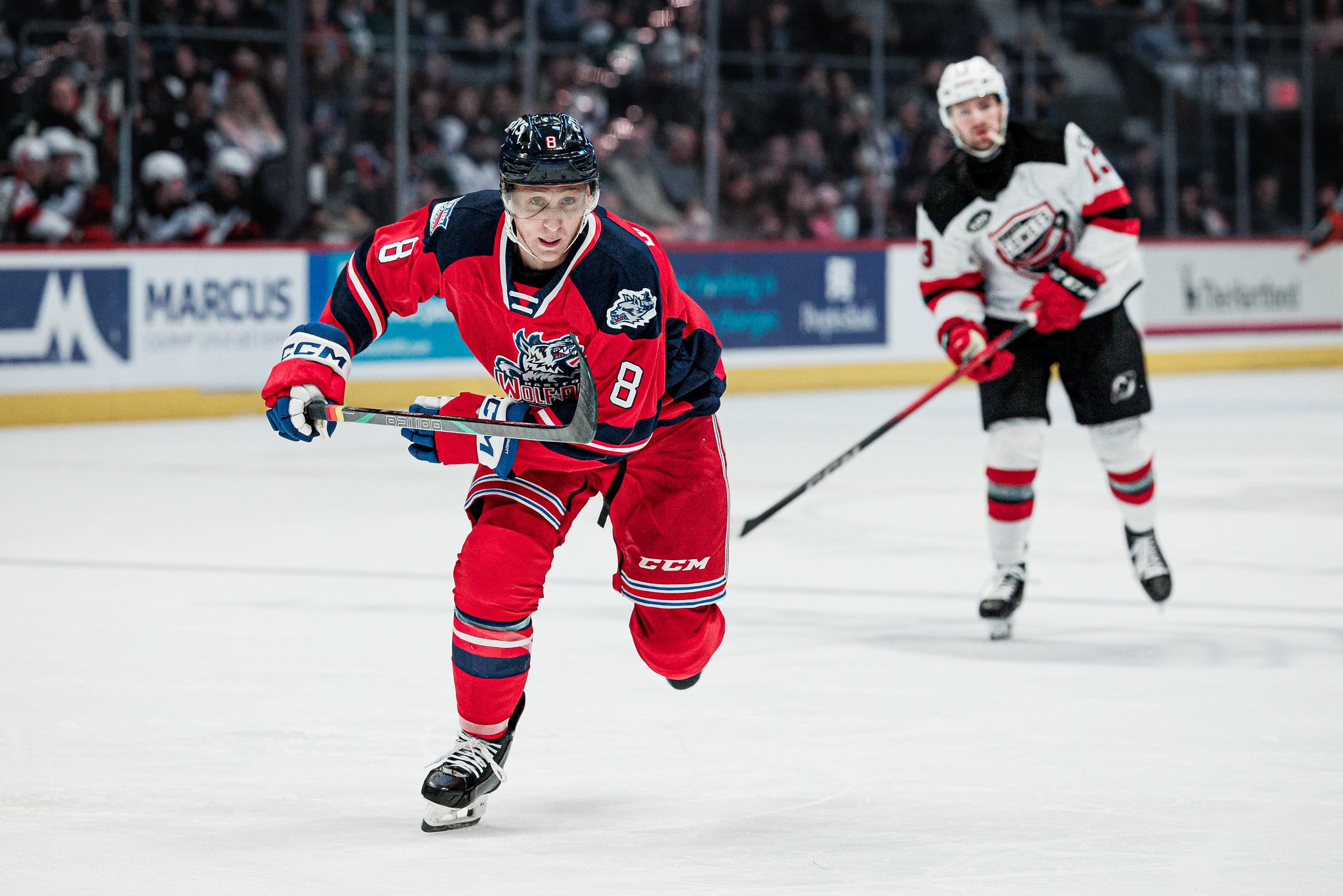 Hartford Wolf Pack Weekly: Travis Dermott steady after signing PTO