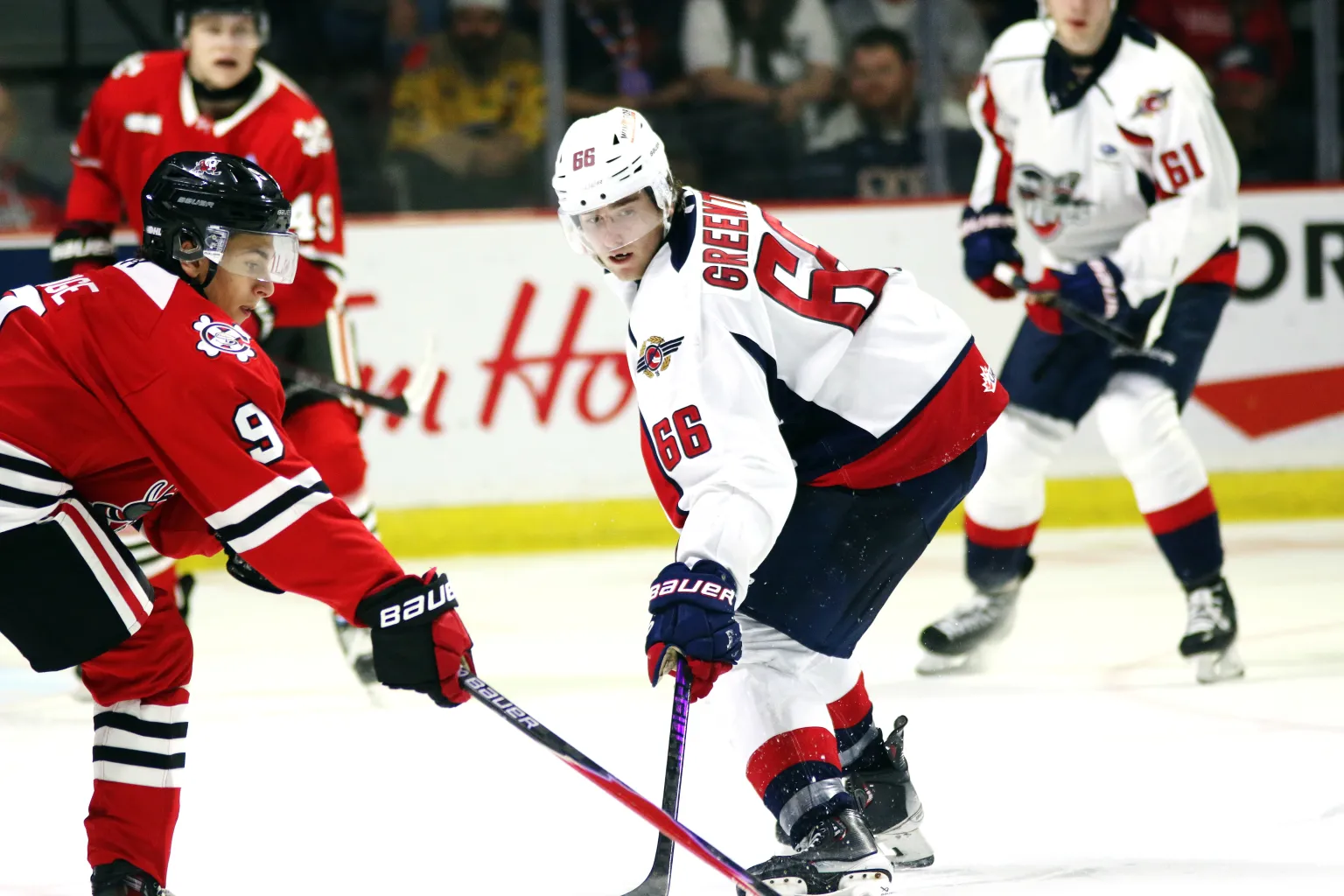 Rangers Daily: All eyes on Liam Greentree; Red Wings GM blames roster